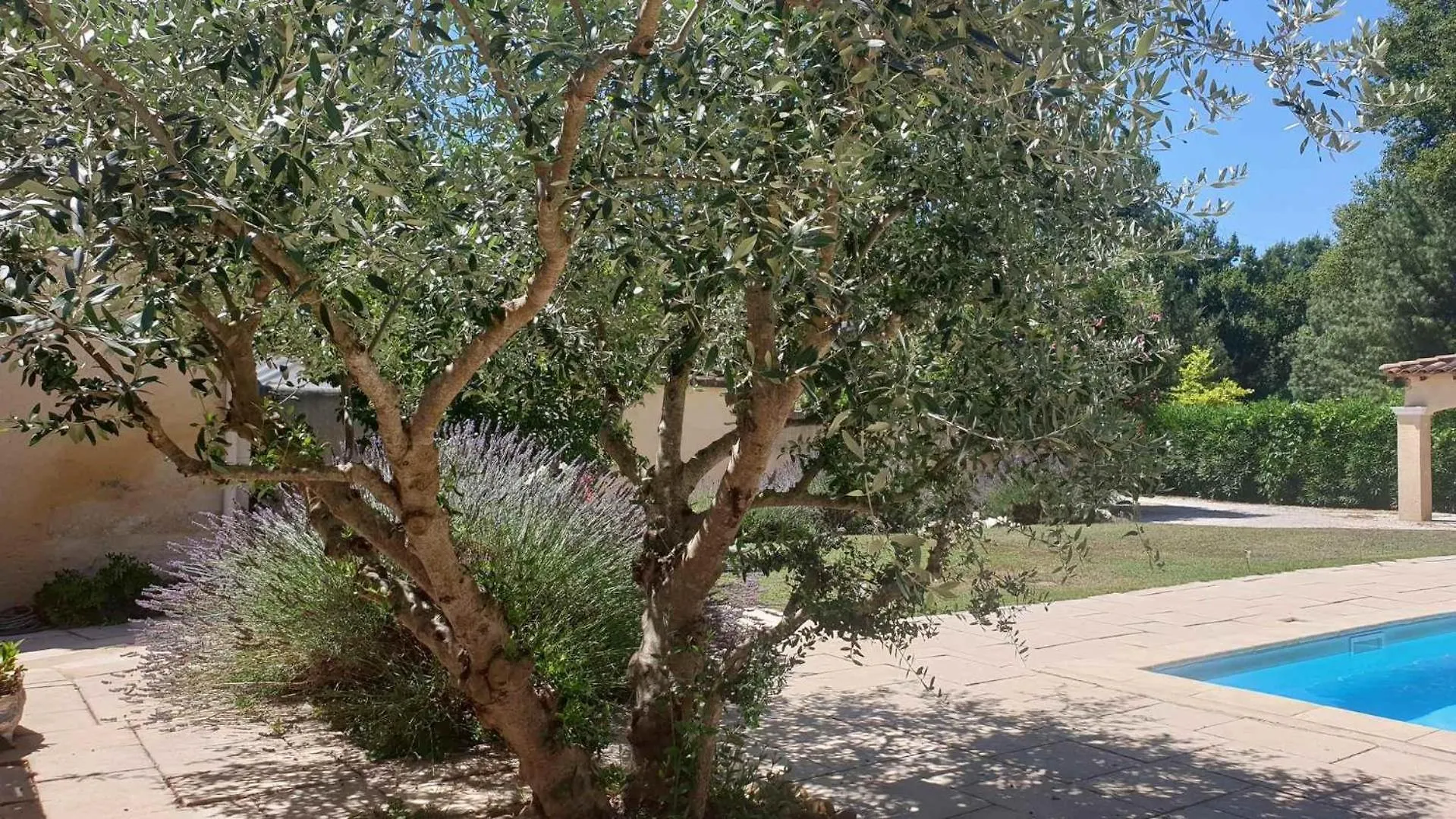 Typical Farm With Private Pool Close To The Ventoux 8 Persons Villa Althen-des-Paluds
